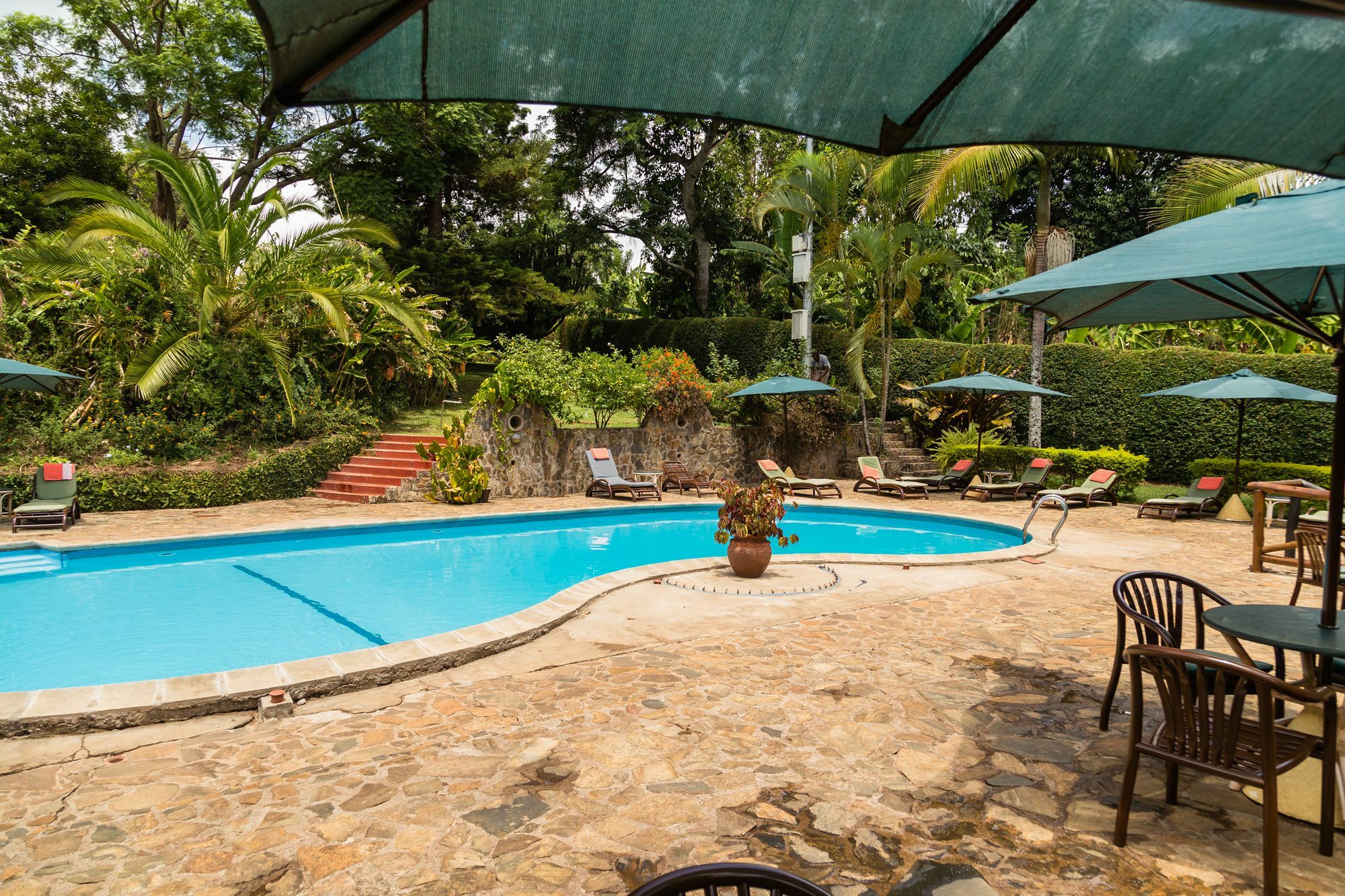 Aishi Machame Villa Моши Екстериор снимка