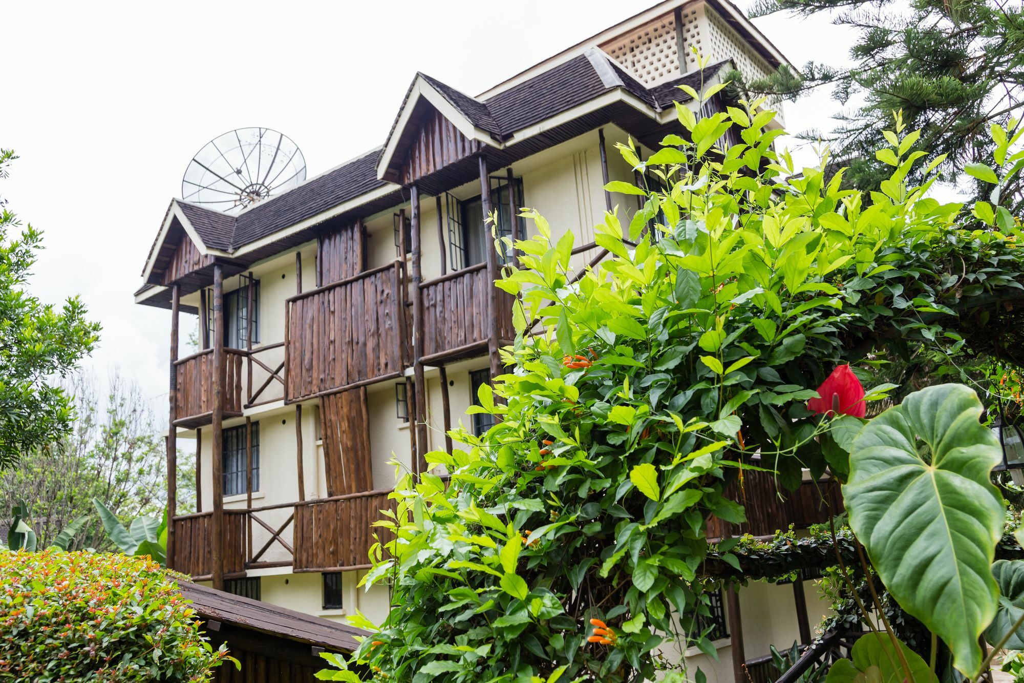 Aishi Machame Villa Моши Екстериор снимка